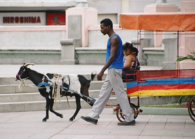 Goat makes Sunday morning happy for Santiago de Cuba kids