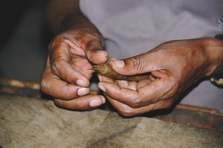 Secret cigar making in Trinidad