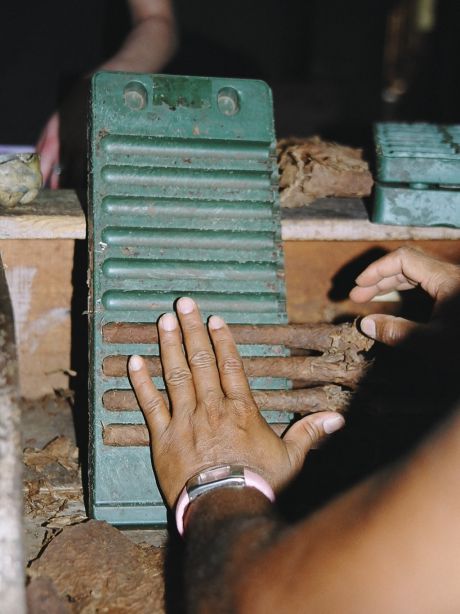 Another stage in the proccess of cigar-making in Trinidad