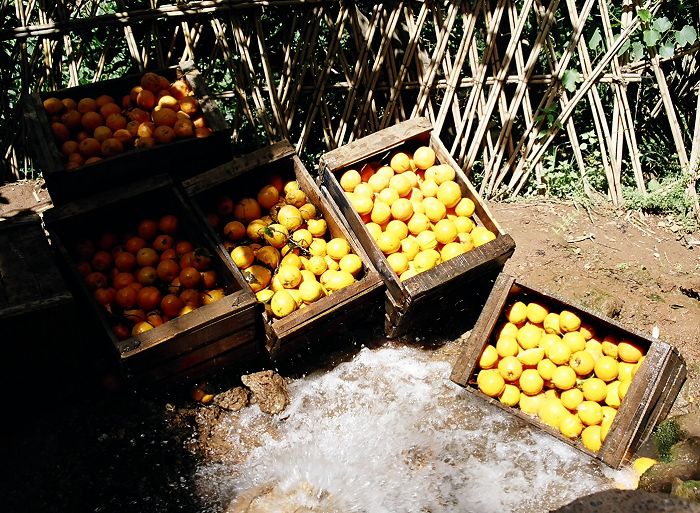 Cooling oranges, Ouzoud Waterfalls